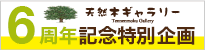 オープン2周年記念特別品