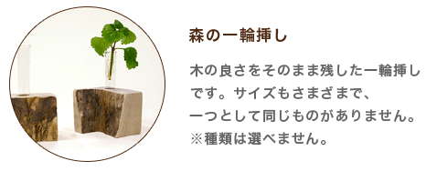 森の一輪挿し 木の良さをそのまま残した一輪挿しです。サイズもさまざまで、一つとして同じものがありません。※種類は選べません。