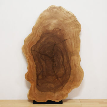 一枚板　輪切り　栃